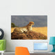 Cheetah on the Masai Mara in Africa Wall Mural