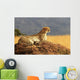 Cheetah on the Masai Mara in Africa Wall Mural