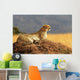 Cheetah on the Masai Mara in Africa Wall Mural