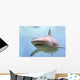 Australian Shark Wall Mural