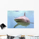 Australian Shark Wall Mural