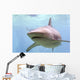 Australian Shark Wall Mural