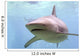 Australian Shark Wall Mural