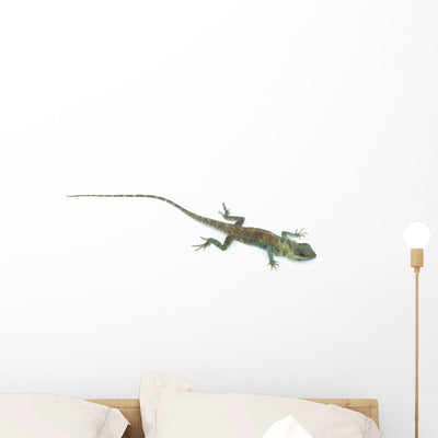Blue Lizard With Big Eyes In Closed Up Details, Like Small Reptile Wall Decal shown on a wall