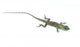 Blue Lizard With Big Eyes In Closed Up Details, Like Small Reptile Wall Decal