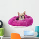 Pampered Chihuahua Puppy Wall Decal