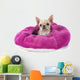 Pampered Chihuahua Puppy Wall Decal