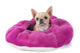 Pampered Chihuahua Puppy Wall Decal