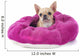 Pampered Chihuahua Puppy Wall Decal