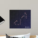 constellation scorpius Wall Mural