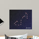 constellation scorpius Wall Mural