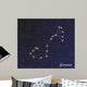 constellation scorpius Wall Mural