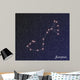constellation scorpius Wall Mural