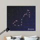 constellation scorpius Wall Mural