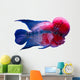 Flower Horn Fish Wall Decal