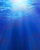 Underwater Scene Wall Decal 2