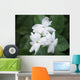 Sampaguita Flower Wall Mural