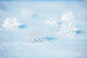 Snowflakes Snow Wall Decal