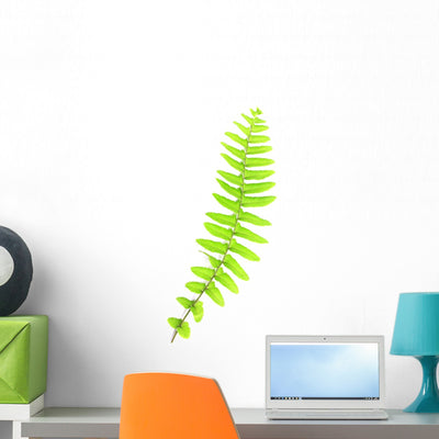 Fern Leaves Wall Decal shown on a wall