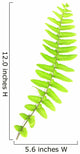 fern leaves Wall Decal