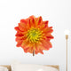Beautiful Orange Dahlia Wall Decal