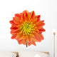 Beautiful Orange Dahlia Wall Decal