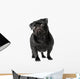 Black Pug Dog Wall Decal