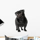 Black Pug Dog Wall Decal