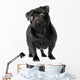 Black Pug Dog Wall Decal