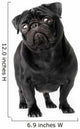 Black Pug Dog Wall Decal