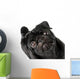 Black Pug Dog Wall Decal