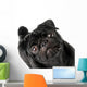 Black Pug Dog Wall Decal