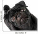 Black Pug Dog Wall Decal