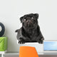 Black Pug Dog Wall Decal