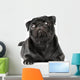 Black Pug Dog Wall Decal