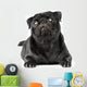 Black Pug Dog Wall Decal