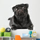 Black Pug Dog Wall Decal