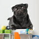 Black Pug Dog Wall Decal