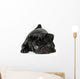 Black Pug Dog Isolated on White Background Wall Decal