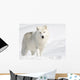 Arctic Wolf in the Snow Looking at the Camera Wall Mural