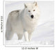 Arctic Wolf in the Snow Looking at the Camera Wall Mural