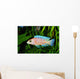 African Malawi  Cichlid Wall Mural