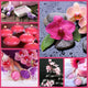 Spa Collage Wall Decal