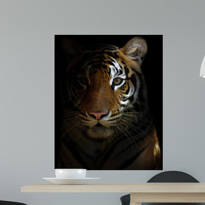 Bengal Tiger Head Wall Decal shown on a wall