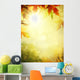 autumn leaves backgrounds; Colorful foliage in the autumn park Wall Mural