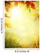 autumn leaves backgrounds; Colorful foliage in the autumn park Wall Mural