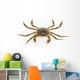 Living Hairy Crab Wall Decal