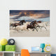 Five horse run gallop in desert at sunset Wall Mural