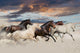 Five Horse Run Gallop In Desert At Sunset Wall Decal