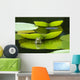 Frog Leaf Wall Decal